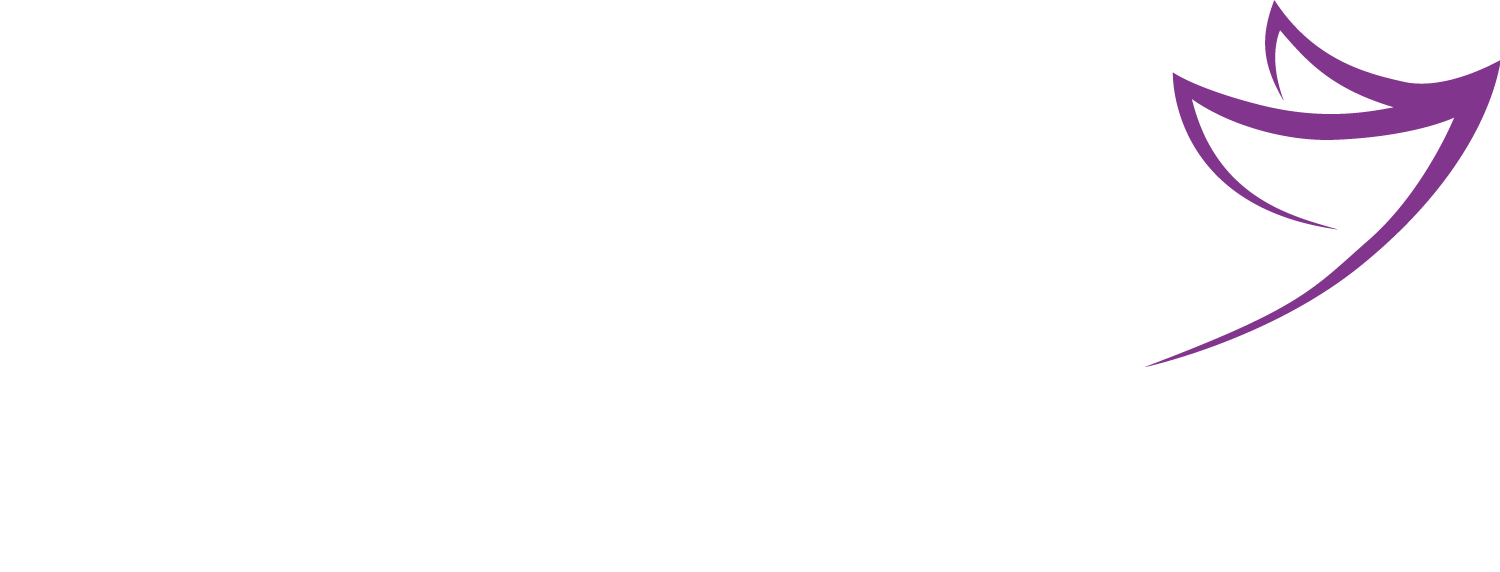 Logo INEHO blanc